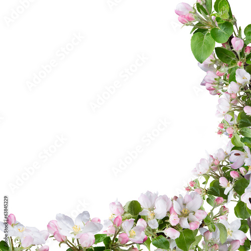 Fototapeta Naklejka Na Ścianę i Meble -  Spring blossoms background