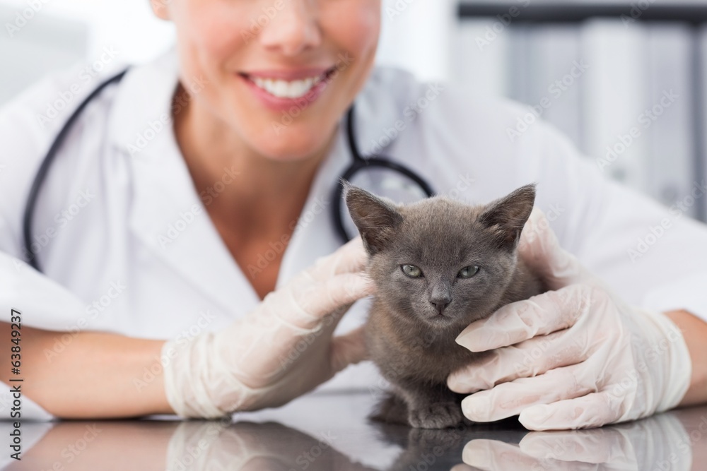 Female vet examining cute kitten