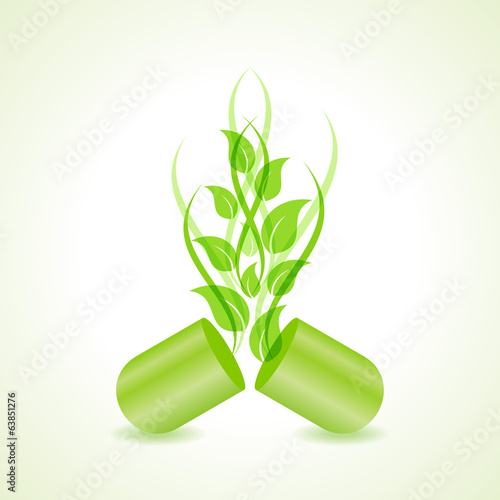 herbal or eco friendly capsule concept vector