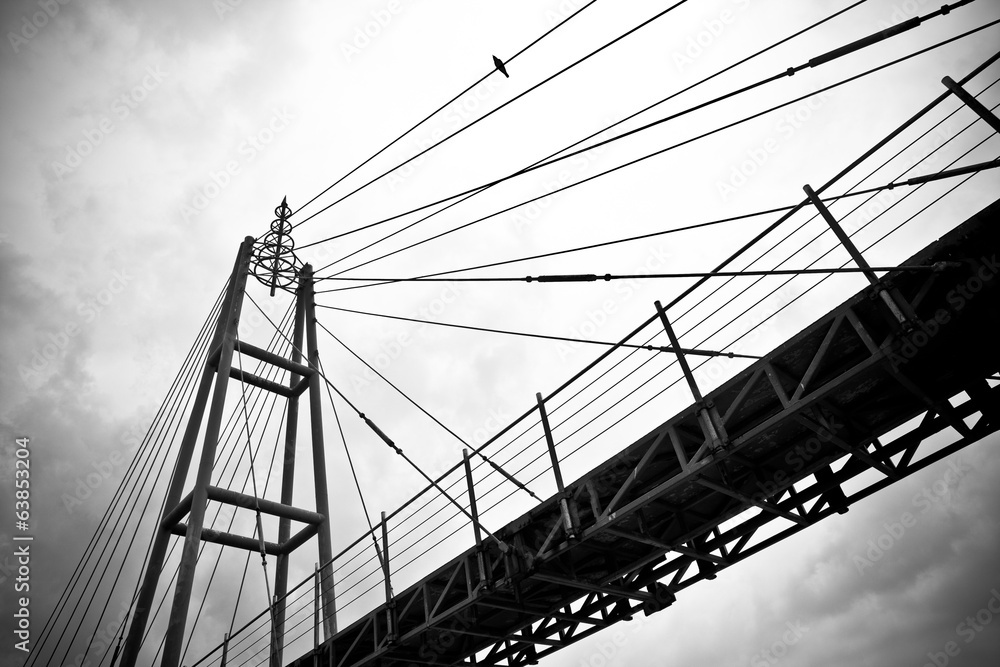 Naklejka premium Black and white picture of bridge