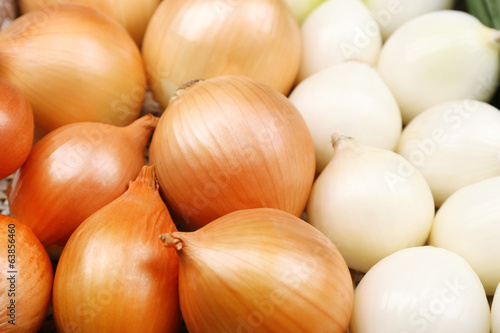Different raw onion  close up