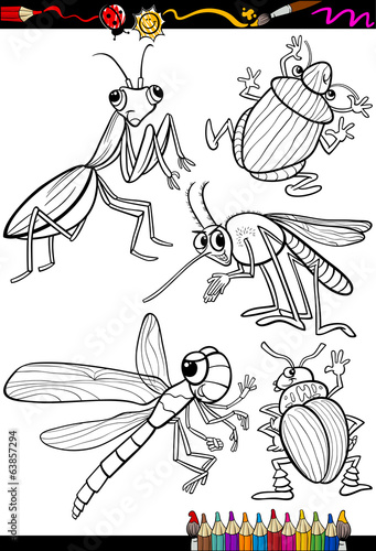 cartoon insects set for coloring book