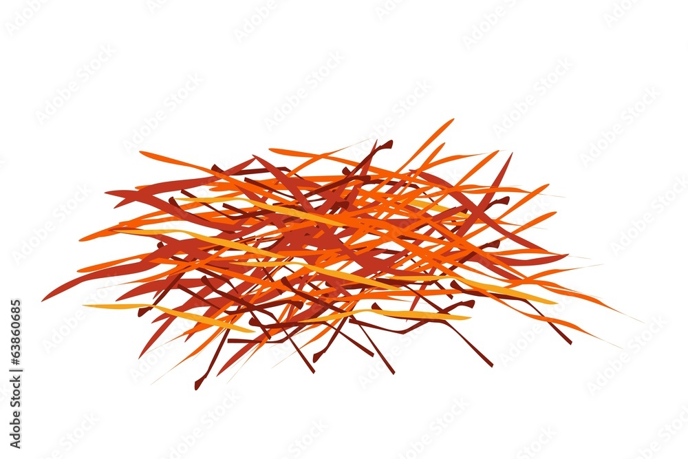 Fototapeta premium A Stack of Saffron Thread on White Background