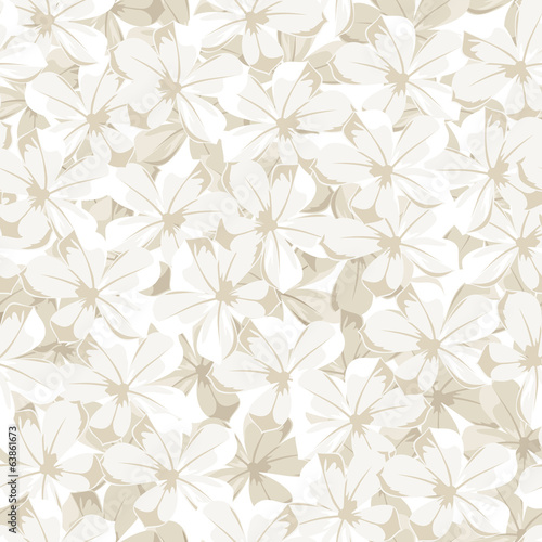 Seamless background with white flowers. Vector illustration.