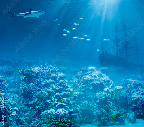 Sea or ocean underwater with shark and sunk treasures ship #63863416