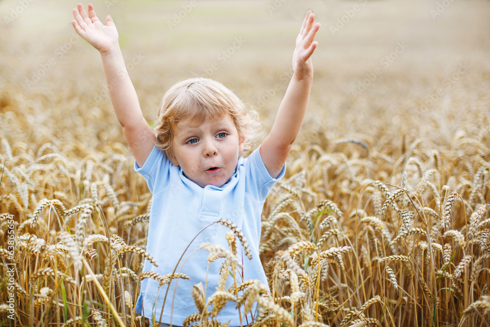 Preschool boy of 3 having fun in wheat field in summer Preschool boy of 3 having fun in wheat field in summer