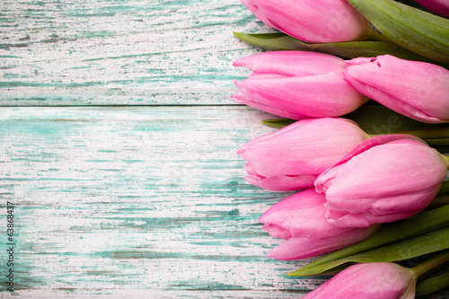 Fototapeta Naklejka Na Ścianę i Meble -  Tulip.