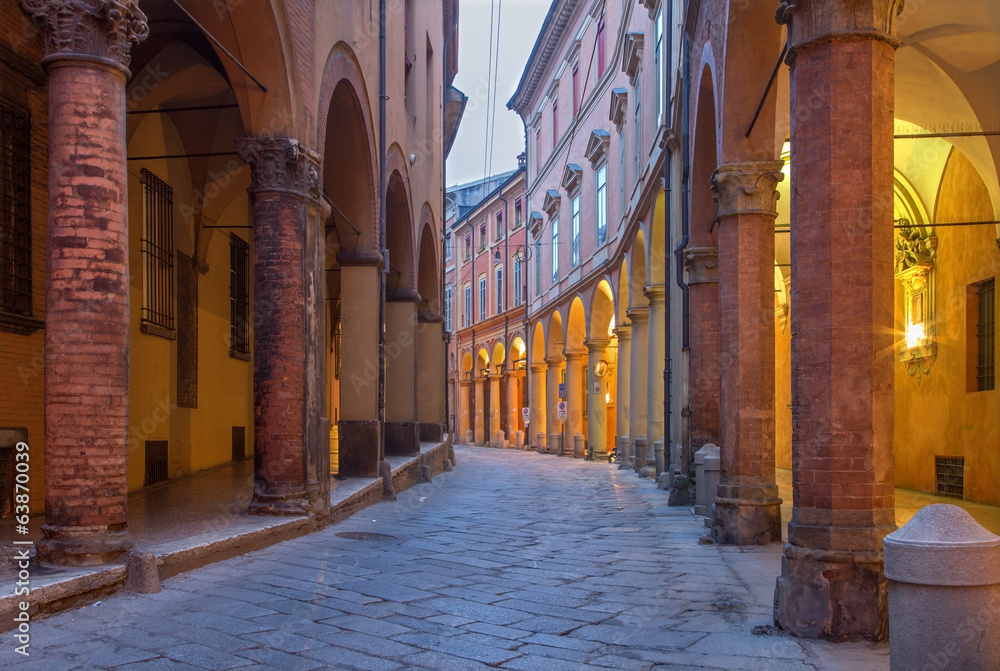 Fotografie, Obraz Bologna -  Via Santo Stefano (St. Stephen) street