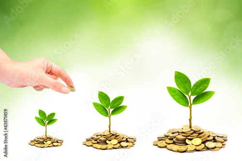 hand giving a coin to trees growing on piles of coins / csr