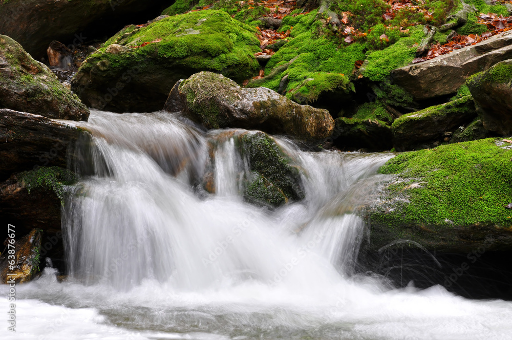 Fototapeta premium White creek - National park Sumava Czech Republic Europe