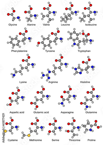 Structural chemical formulas of twenty basic amino acids