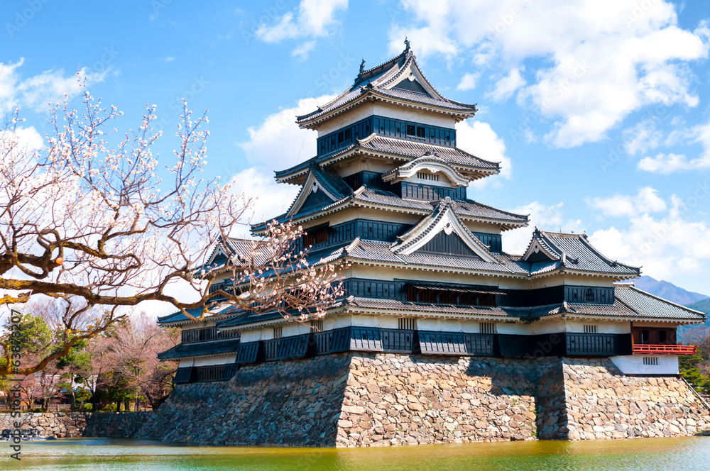 Fototapeta premium Matsumoto Castle, Japan
