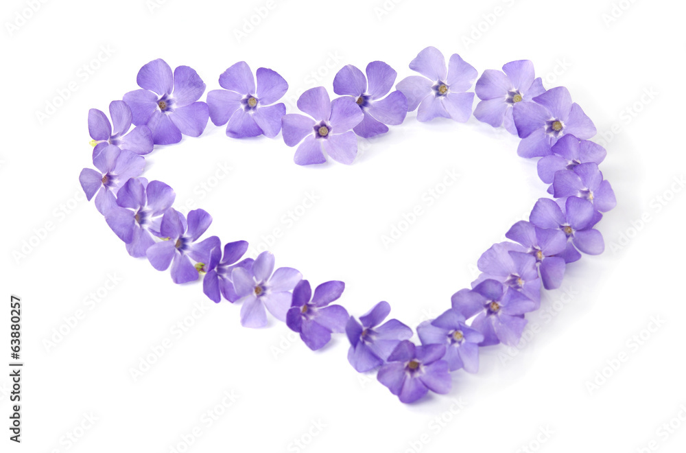 Obraz premium Beautiful blue flowers in a shape of a heart