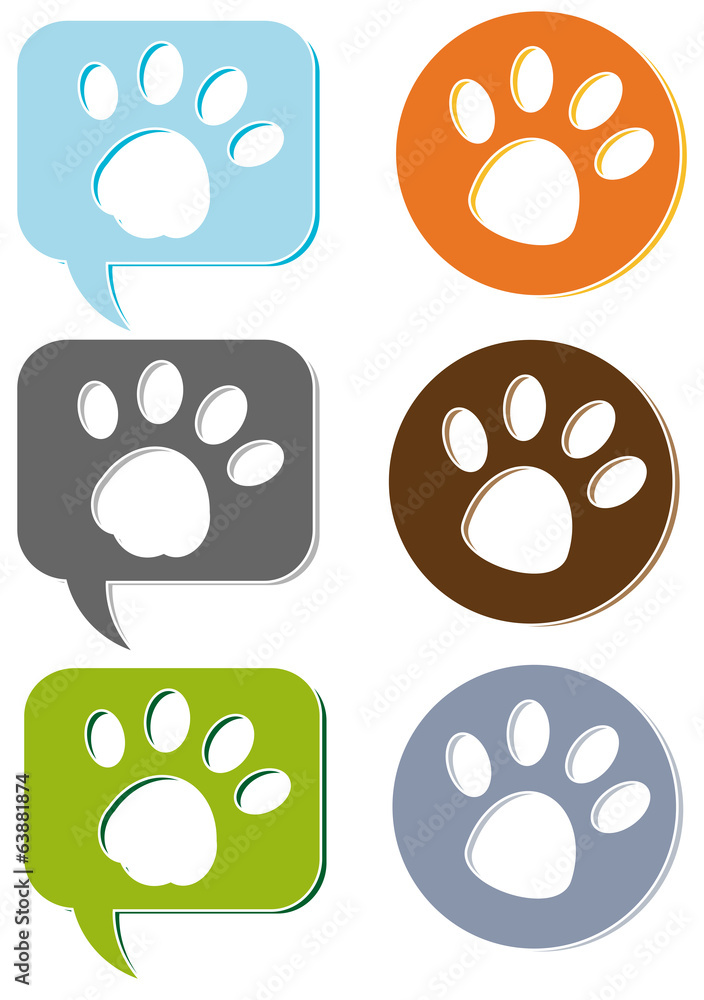 Obraz premium Paws