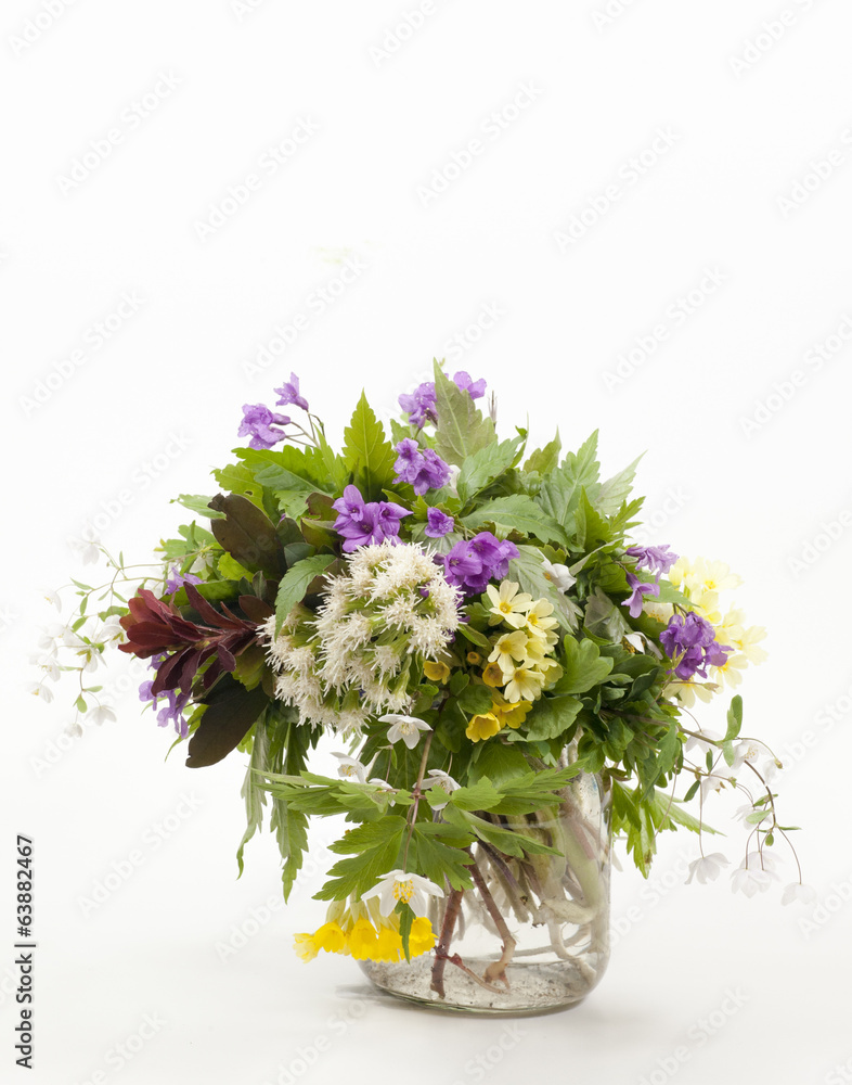 wild flowers wild flowers