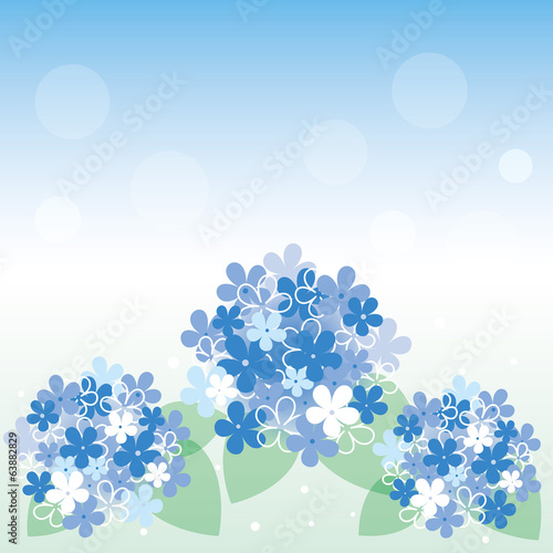 Hydrangea background