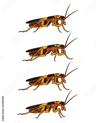 Walking Cockroach Sprite
