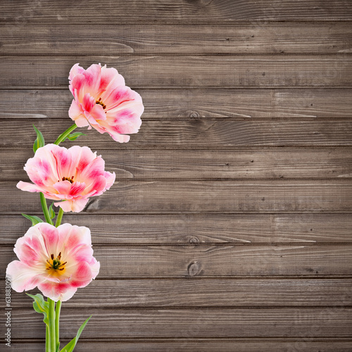 Beautiful bouquet of tulips on wooden background