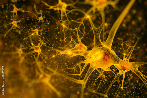 digital illustration neurons photo