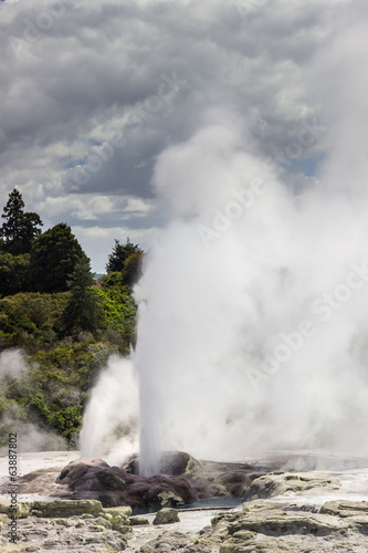 Whakarewarewa thermal geyser area