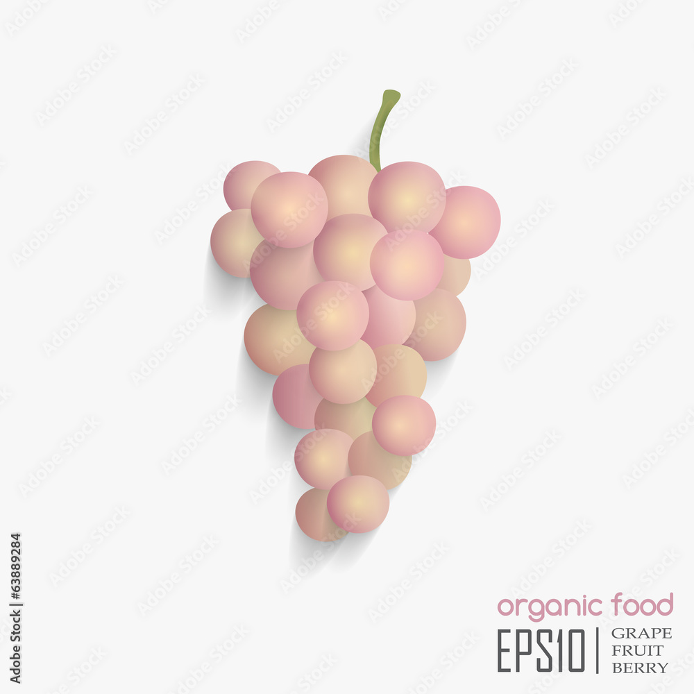 Obraz premium vector illustration of isolated grape.
