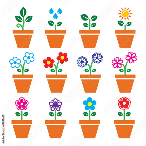 Flower, plant in pot vector colorful icons set