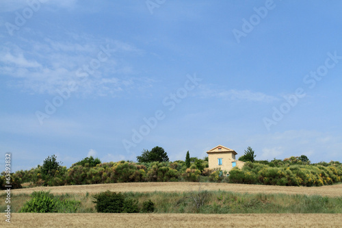 valensole provenza francia paesaggio photo