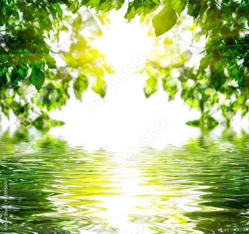Fotografie Abstract representation of a spring forest.