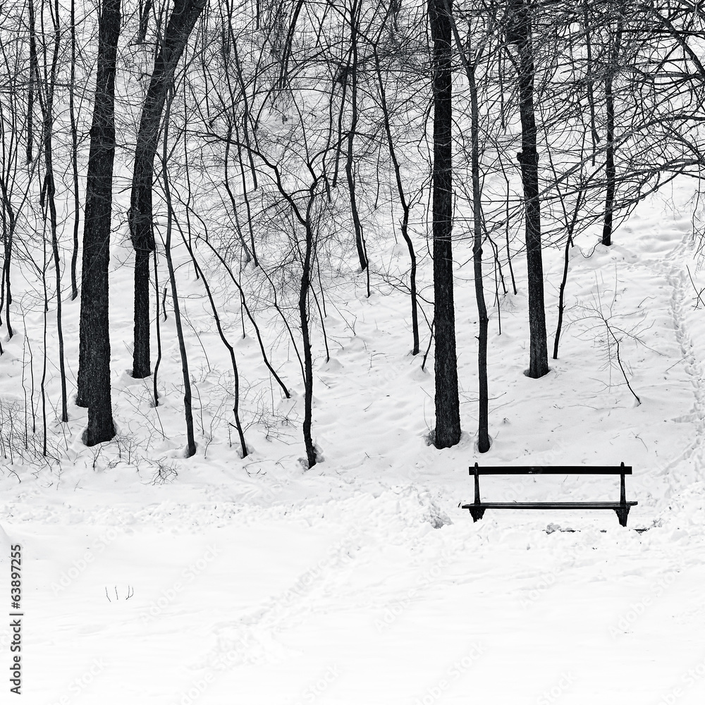 lonely bench in the park (winter)