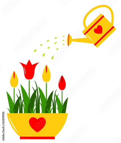 tulips and watering can
