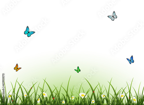 Flying butterflies