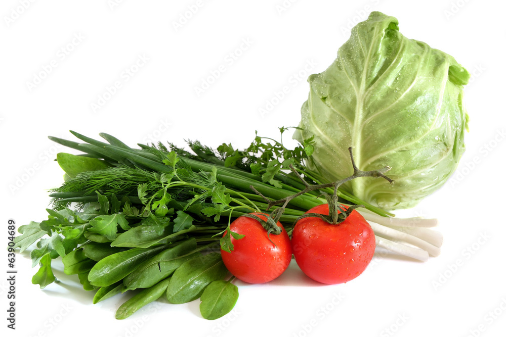 cabbage tomato spinach onions sorrel parsley cabbage tomato spinach onions sorrel parsley