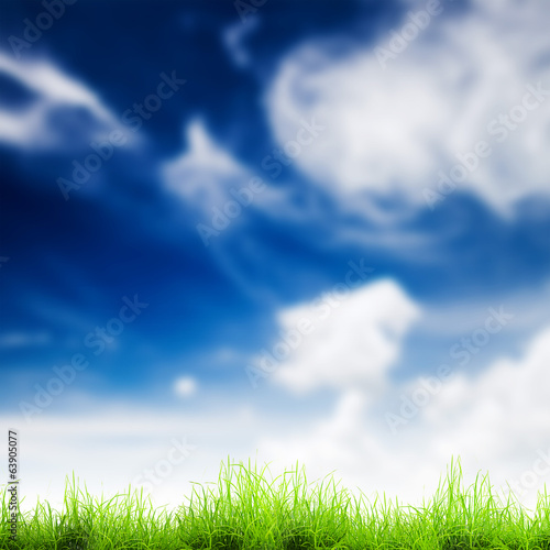grass