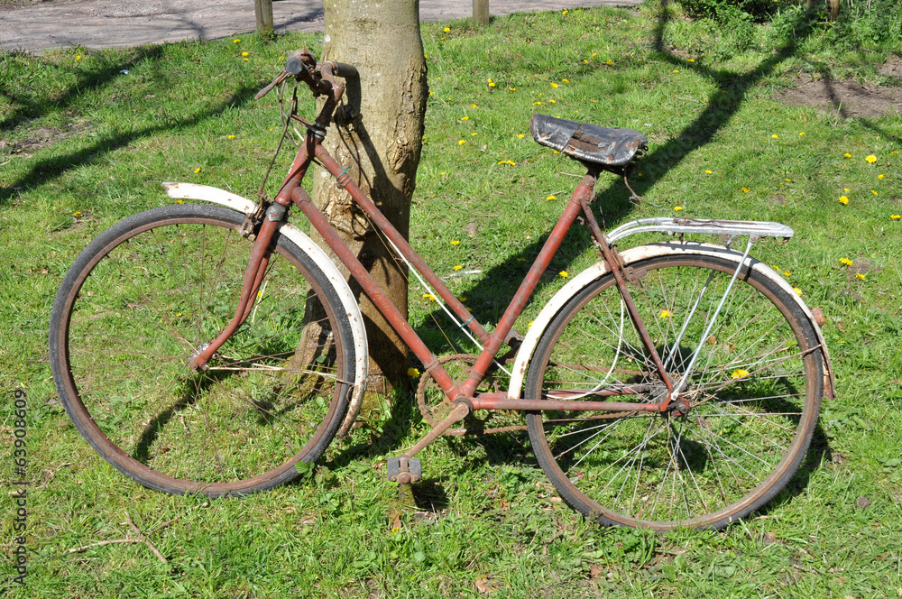 Old Rusty Bicycle