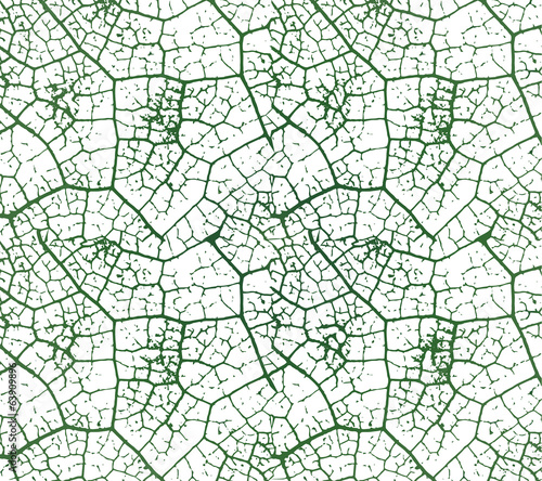 Detail of green leaf, vector illustration