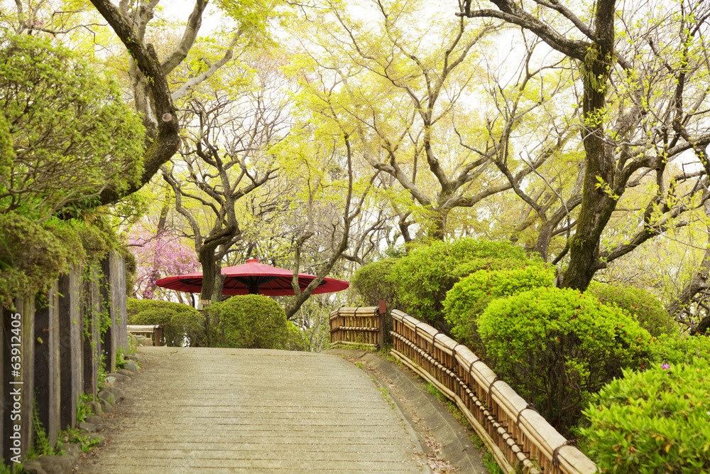 A sloping road inside the japanese traditional garden A sloping road inside the japanese traditional garden