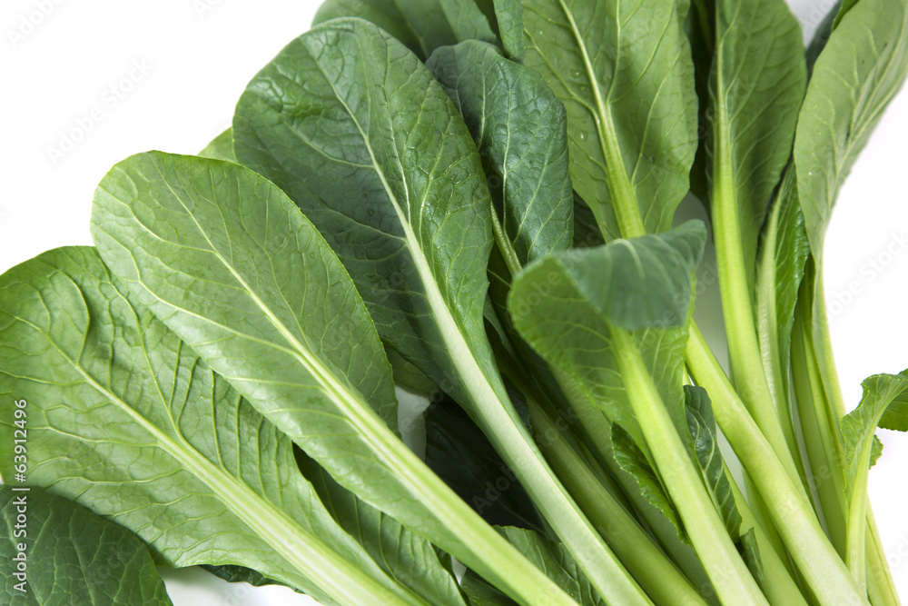 Japanese mustard spinach, on white dish Japanese mustard spinach, on white dish