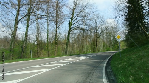 Fahrt durch eine deutschen Wald im Frühling photo