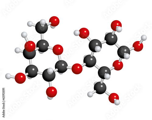 Molécule de lactose