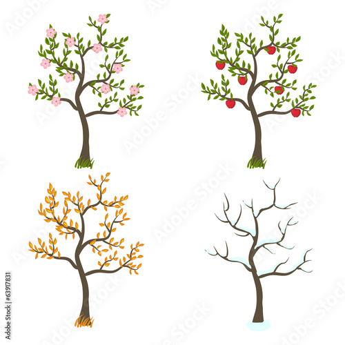 four seasons trees art
