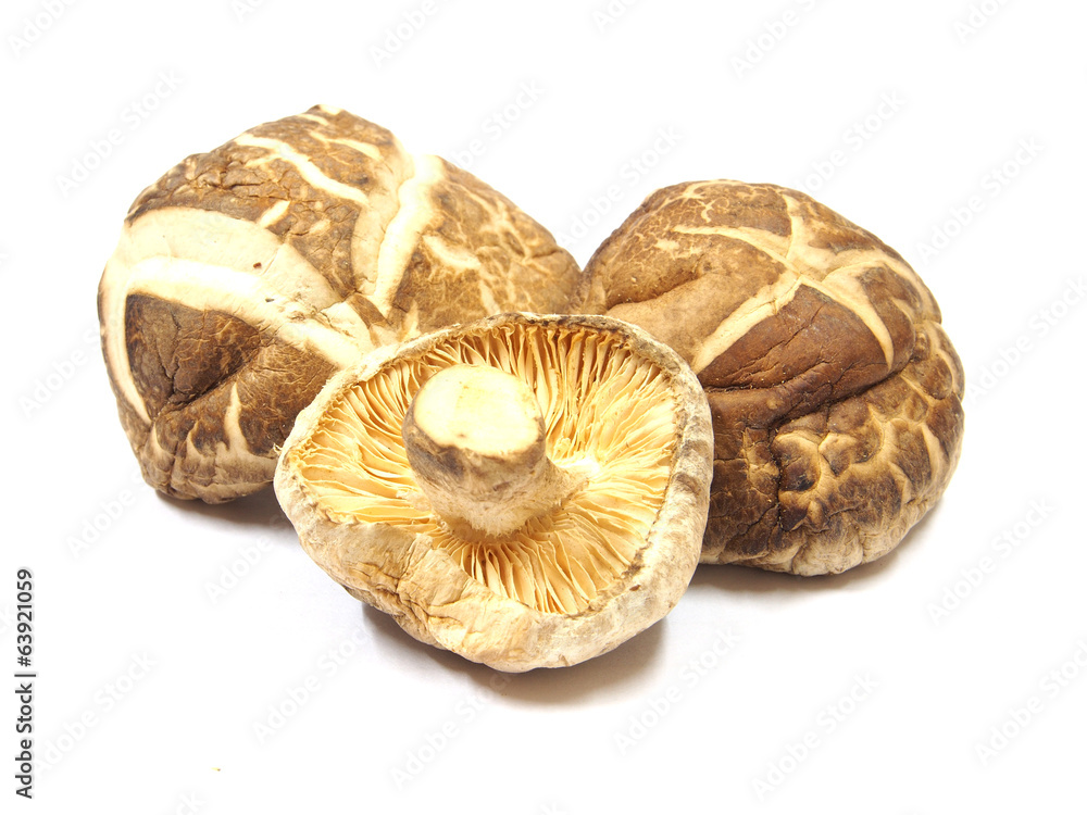 Dry dried mushrooms isolated on white background. Selective focu Dry dried mushrooms isolated on white background. Selective focu