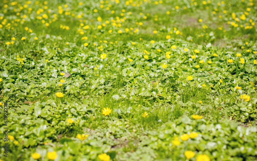 Spring greens Spring greens