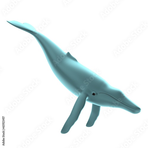 realistic 3d render of whale