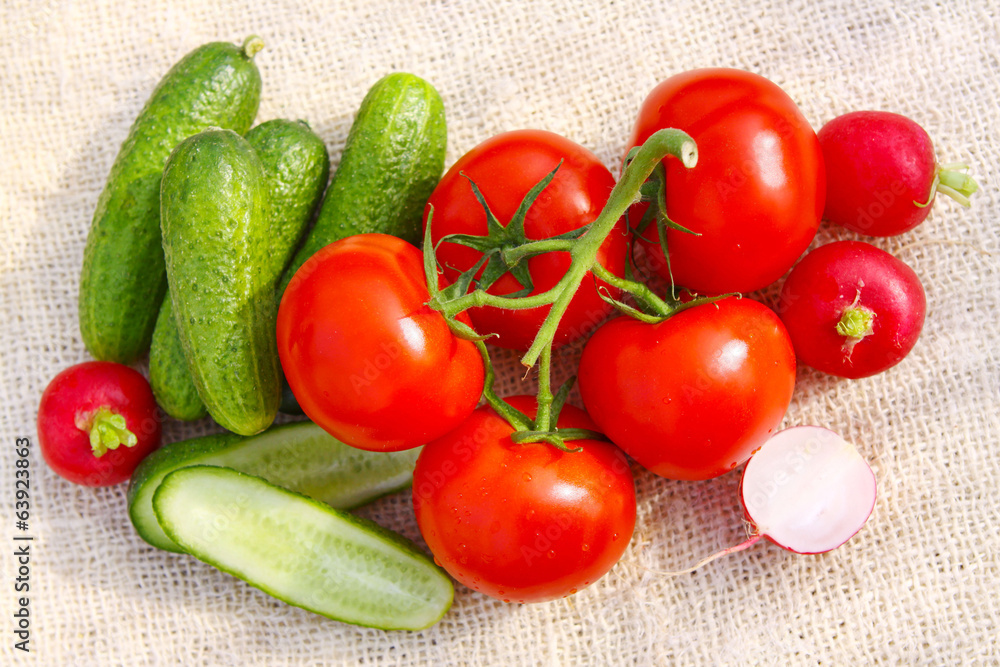 Fresh garden vegetables isolated. Fresh garden vegetables isolated.