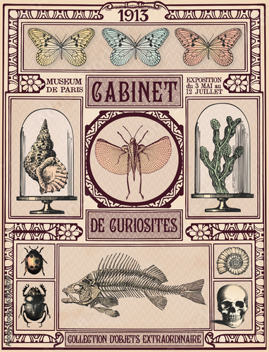 Cabinet de Curiosités