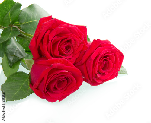 Beautiful three red rose
