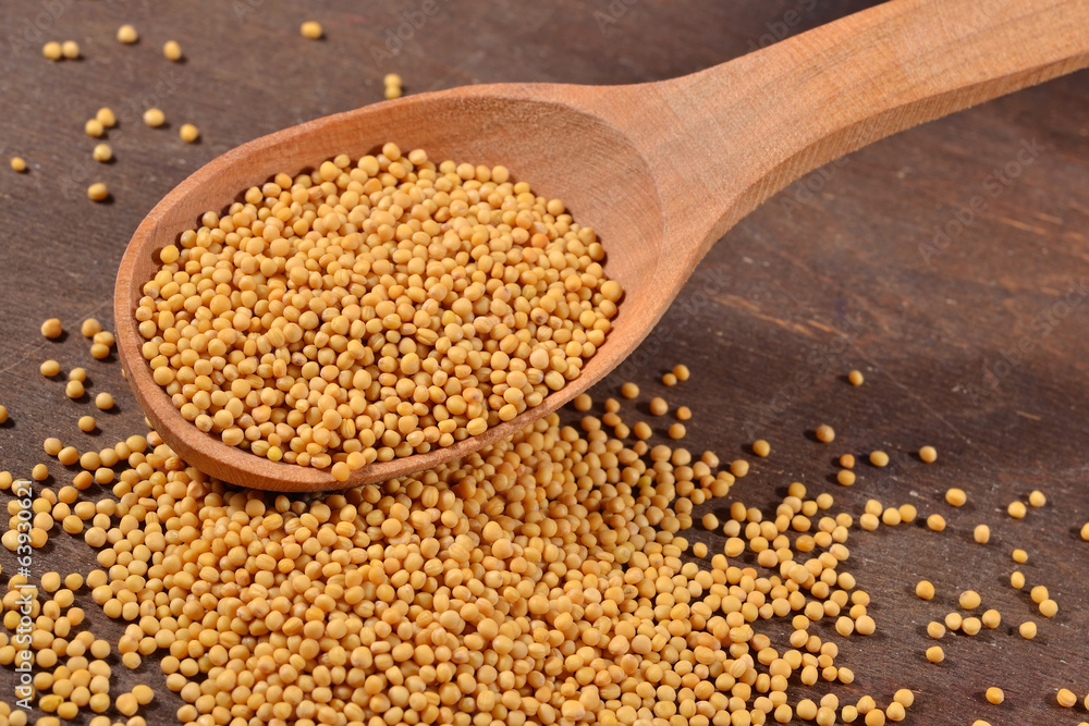 White mustard seeds in a spoon White mustard seeds in a spoon