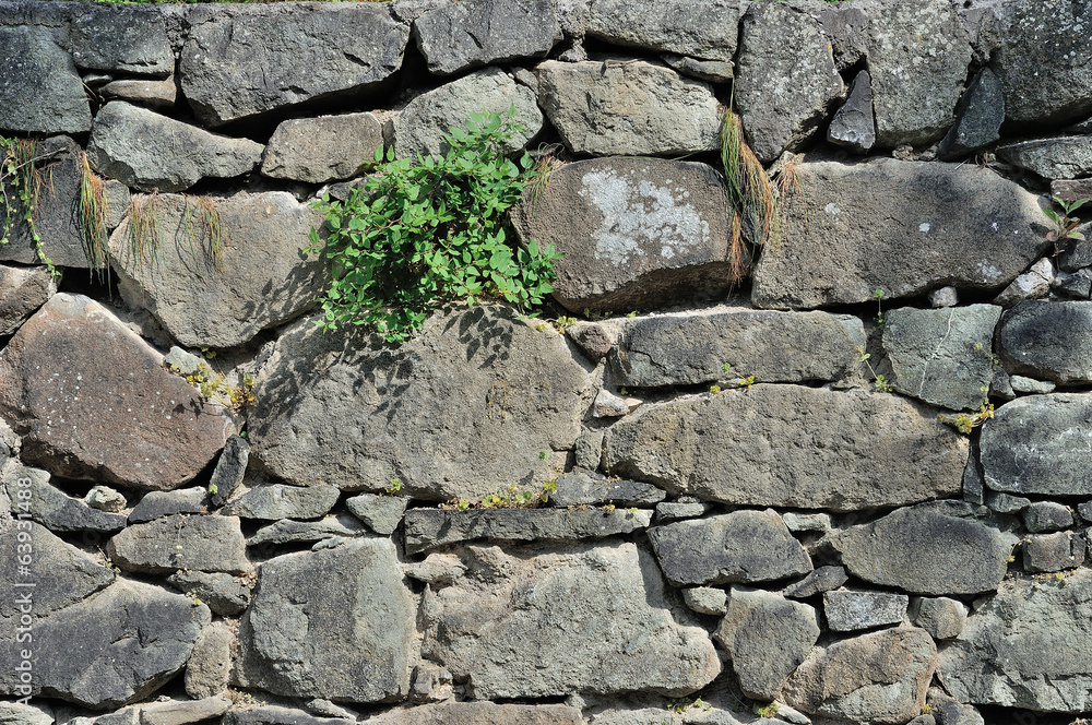 Stone wall