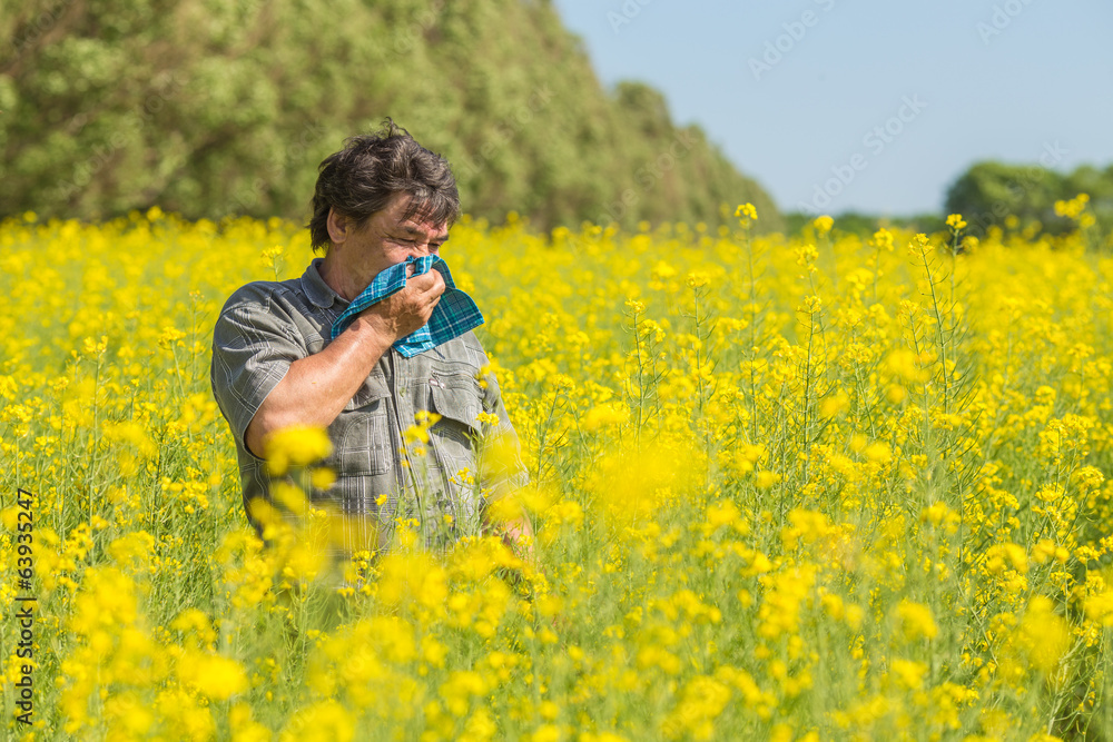 man in the field suffers from allergies man in the field suffers from allergies