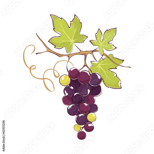 Bunch of black grapes